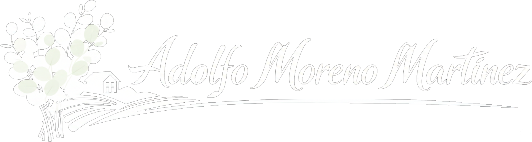 logo de website